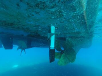 Reportan presunto explosivo en embarcación de "Barcos Caribe" en Cozumel