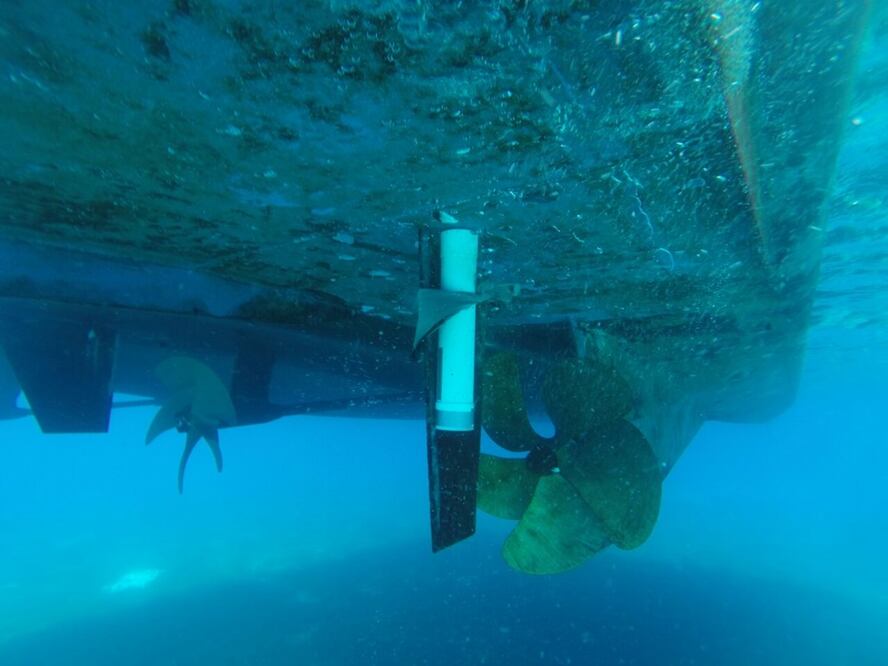 Foto: cortesía Barcos Caribe