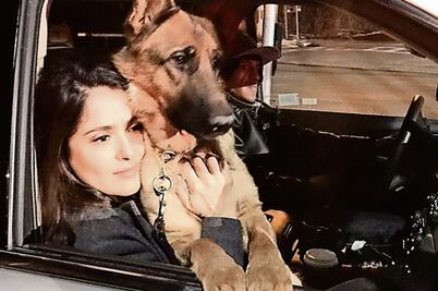 Vecino mató al perro de Salma; policía acepta su justificación