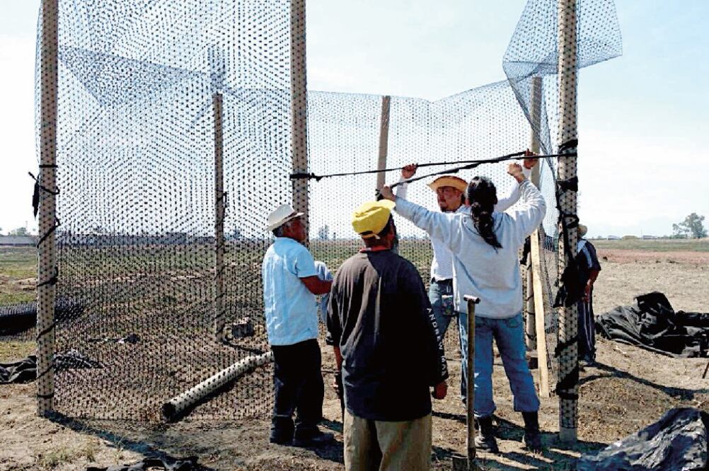 Integrantes del Frente Para la Defensa de la Tierra mantienen guardias en predios ejidales para evitar que se efectúen obras en los mismos (ESPECIAL)