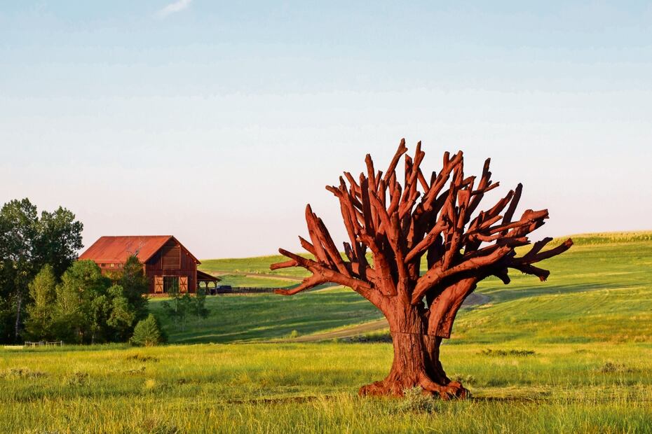 Iron Tree, es la obra del reconocido artista y activista chino Ai Weiwei, que se localiza en este centro de arte al aire libre. Foto:  James Florio. / Tippet Rise Center