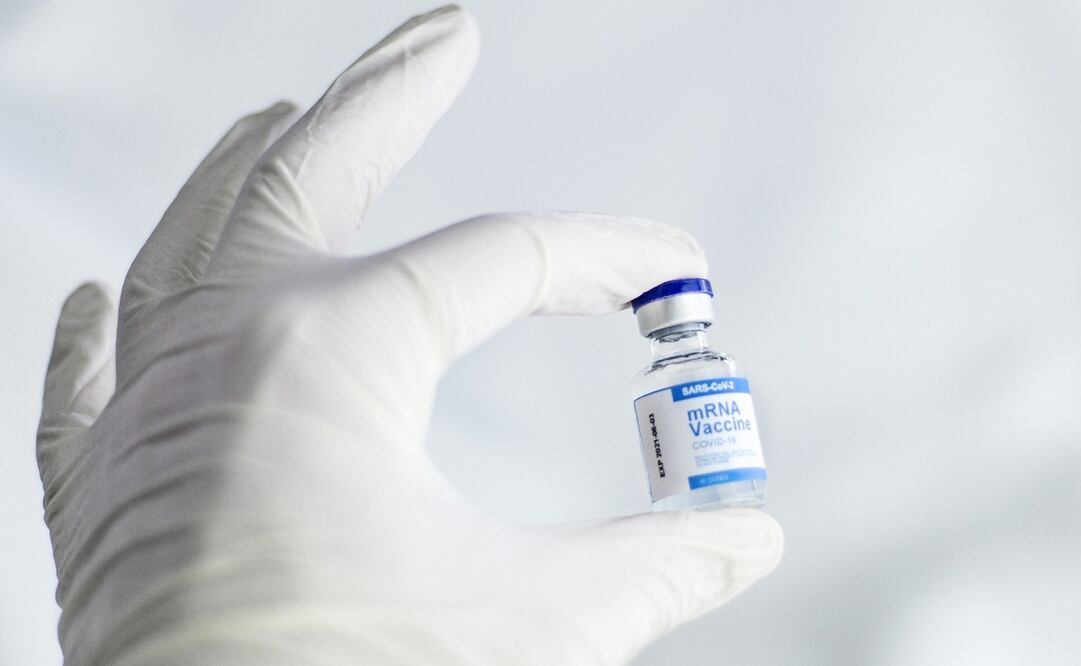 El chatbot también puede resolver algunas dudas. Imagen Pixabay