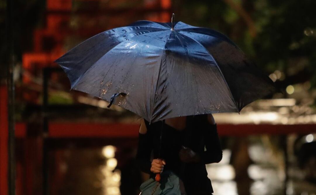 Foto: Archivo | EL UNIVERSAL