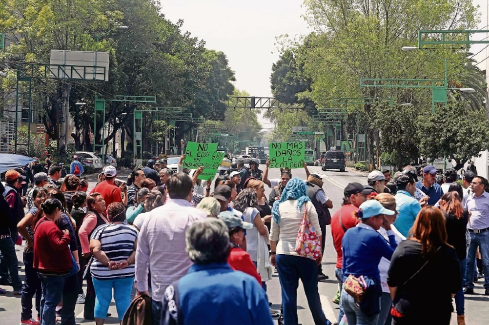 Los inconformes señalan que para las obras se talarán más de 7 mil árboles sobre la avenida Insurgentes, que es por donde presumen pasará el viaducto (FERNANDO RAMÍREZ. EL UNIVERSAL)
