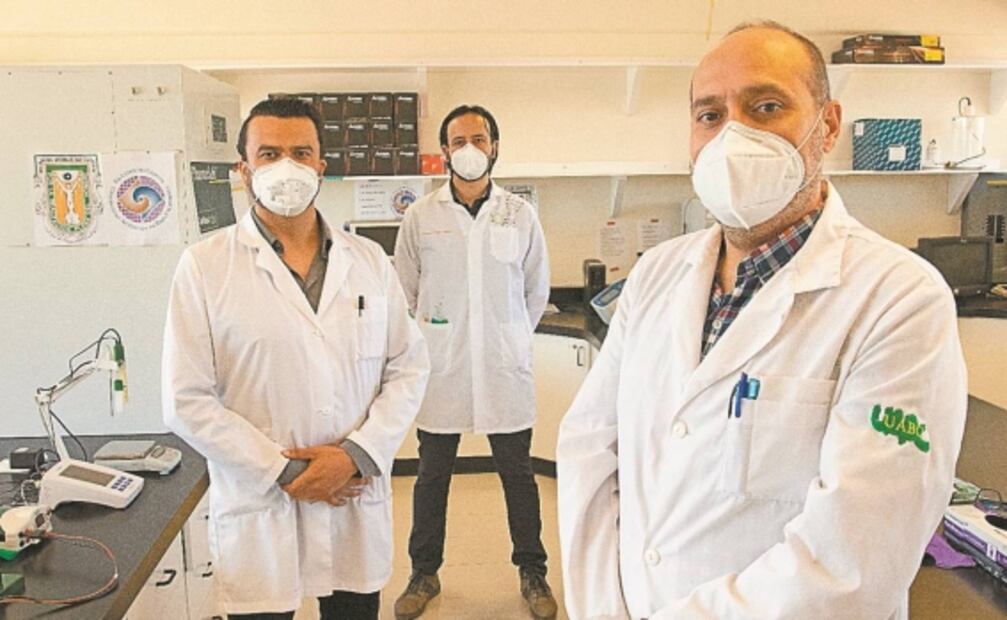 Científicos mexicanos, en pos de la vacuna contra el Covid