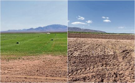 Agricultores ven 2025 como un año todavía más seco 