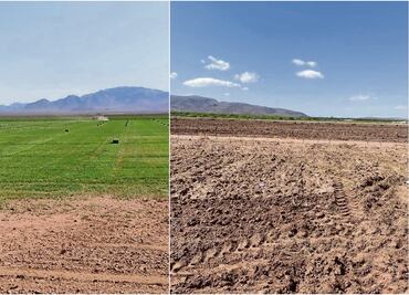 Agricultores ven 2025 como un año todavía más seco