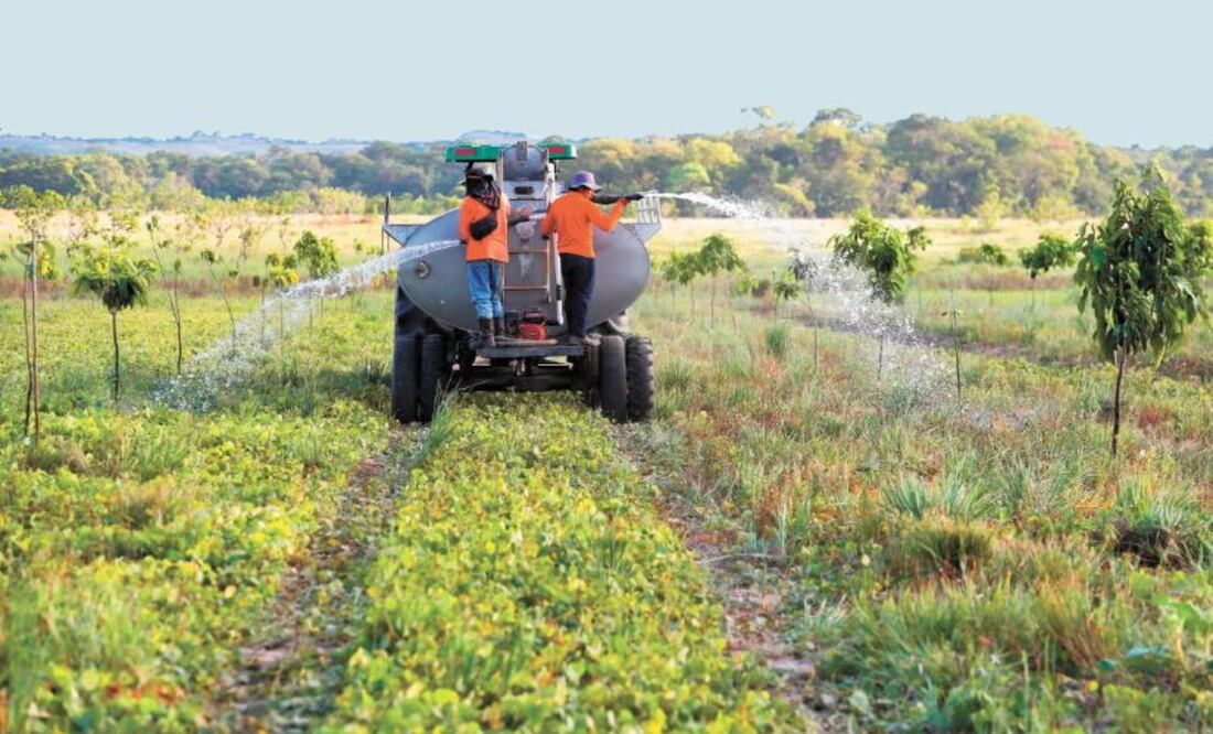 Foto: Archivo/EL UNIVERSAL