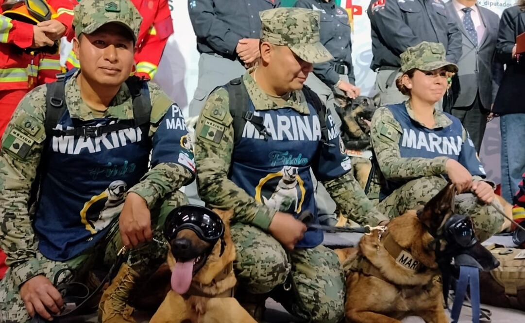 Declaran en Cámara de Diputados Día oficial para honrar a los Binomios caninos de rescate. Foto: Enrique Gómez