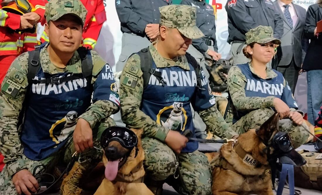 Declaran en Cámara de Diputados Día oficial para honrar a los Binomios caninos de rescate. Foto: Enrique Gómez