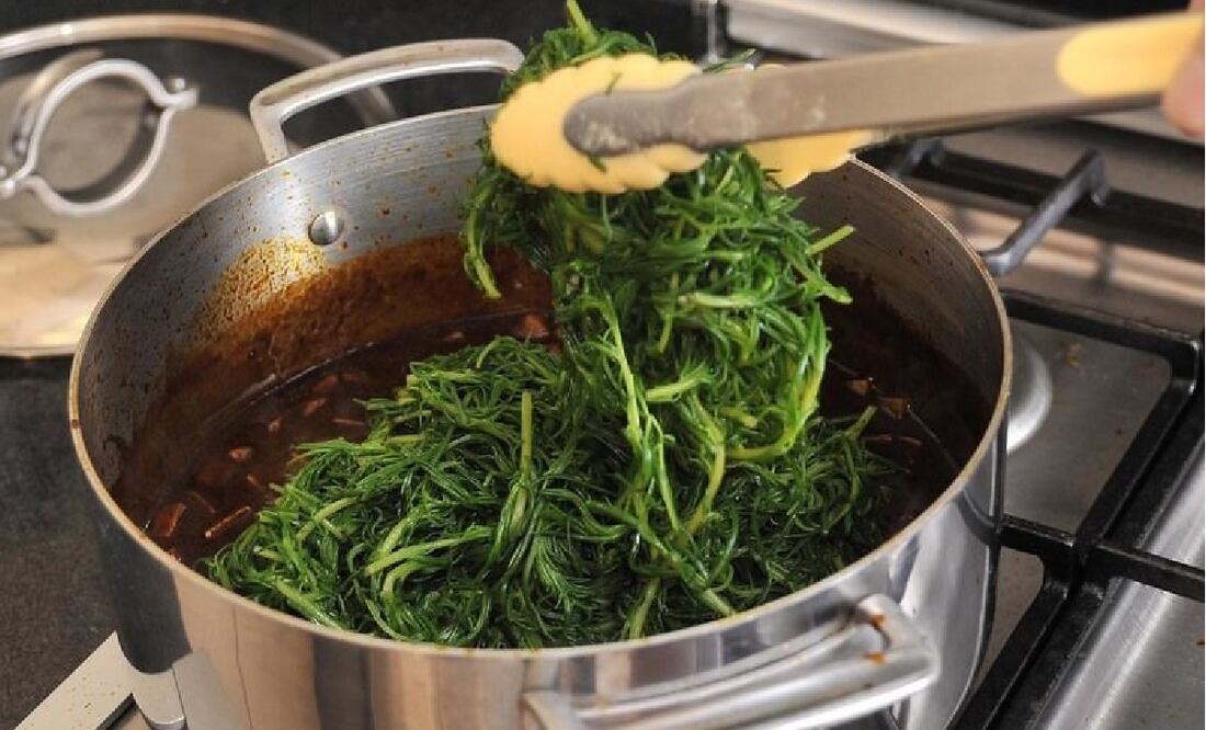 Foto: archivo// EL UNIVERSAL