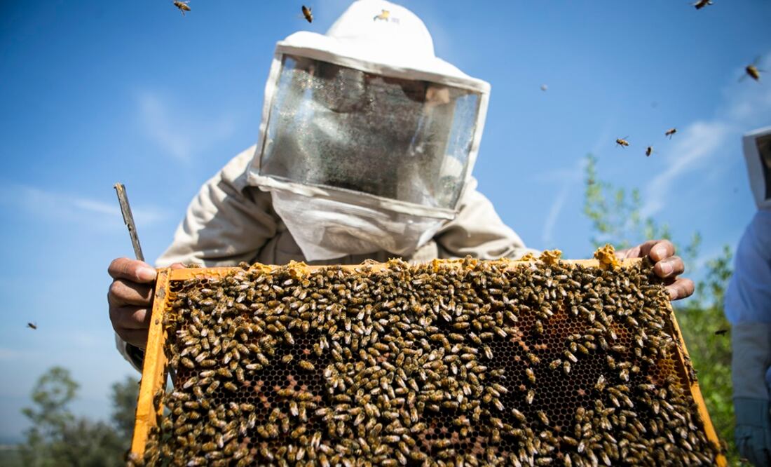 Foto: Archivo/ EL UNIVERSAL