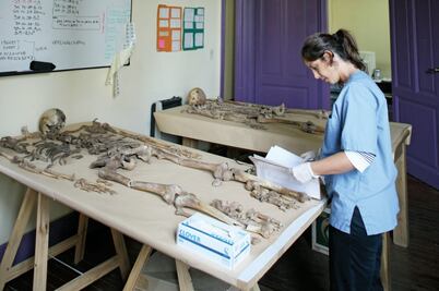 Peritos argentinos respaldan informe