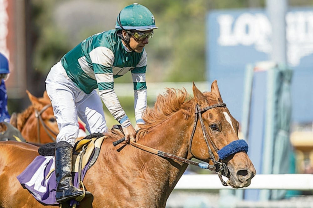 El jockey mexicano, a lomos de Gallantlystreaming, segundo. (TWITTER)