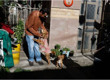 ¿Cuáles son las alcaldías donde existe más maltrato animal?