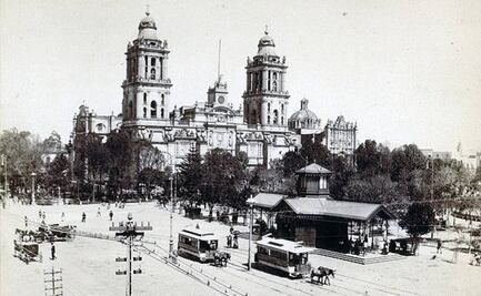 El transporte con verdaderos caballos de fuerza