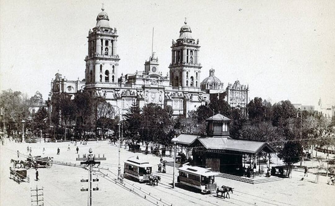 El transporte con verdaderos caballos de fuerza