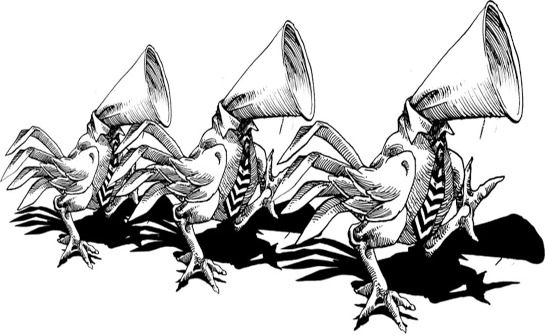 La Candidata de los escombros