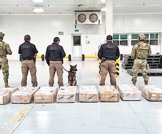 Marina decomisa media tonelada de cocaína de un buque