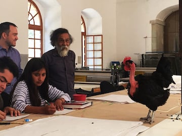 Enseña Francisco Toledo litografía a estudiantes normalistas