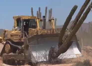 Activistas de Sonora denuncian ecocidio por obras del Plan de Justicia Seri de AMLO