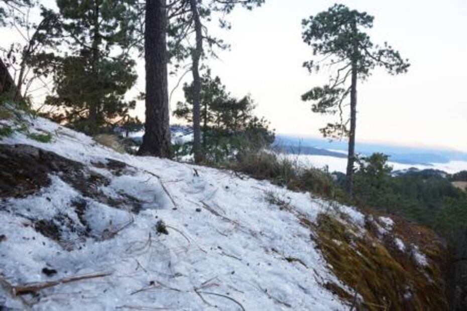 Pese al frío, actividades no paran en Sierra Juárez Oaxaca