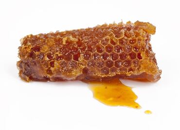 Te contamos qué es el propóleo y por qué comerlo