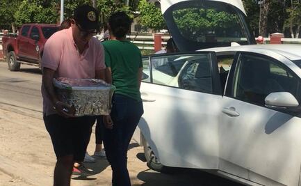 Llegan invitados al precumpleaños de AMLO... también totopostes y tamales de chipilín