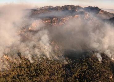 Incendio afecta 170 hectáreas de Sierra de San Miguelito, en San Luis Potosí