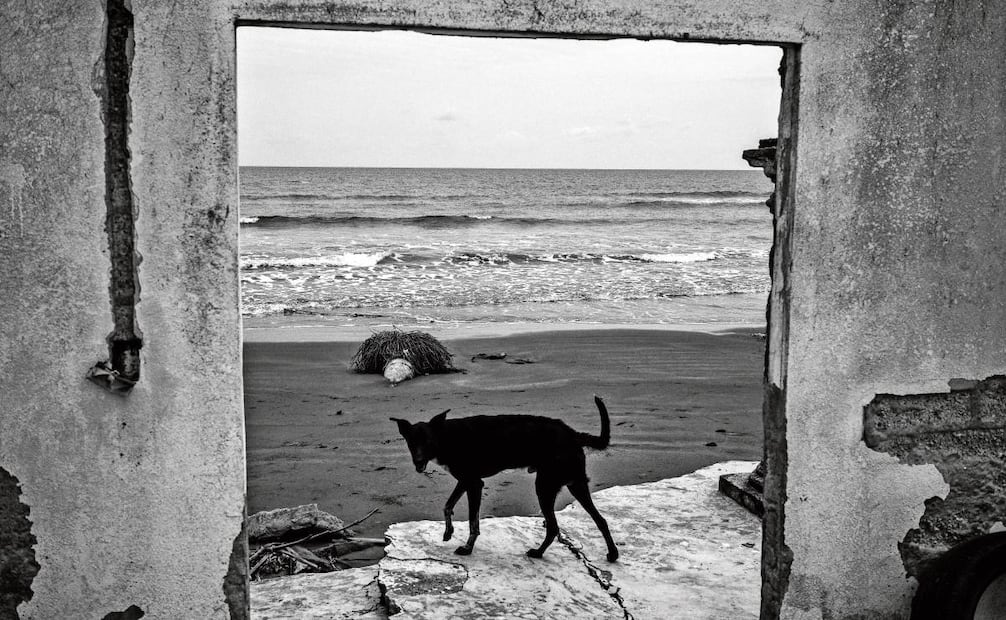 La Barranca, Veracruz, es un ejemplo de la erosión marina. Foto: © César Rodríguez, Norwegian Red Cross, SNCA, The New York Times