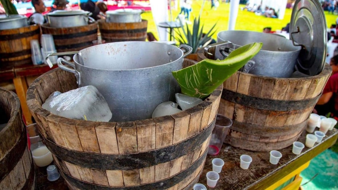 El pulque ofrece numerosos beneficios para tu salud. Foto: Facebook Pulcata Fest