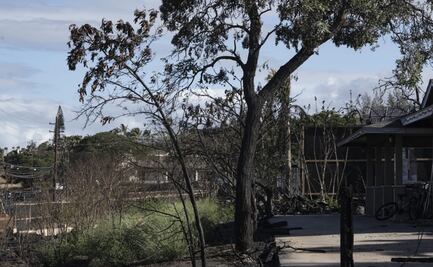 Regresan algunos residentes a casa tras incendios forestales en Hawai