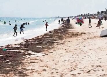 Sargazo avanza a costas de otra entidad