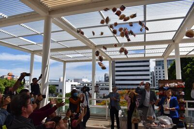 La lluvia de pan es real y está en la feria de Acámbaro, Guanajuato