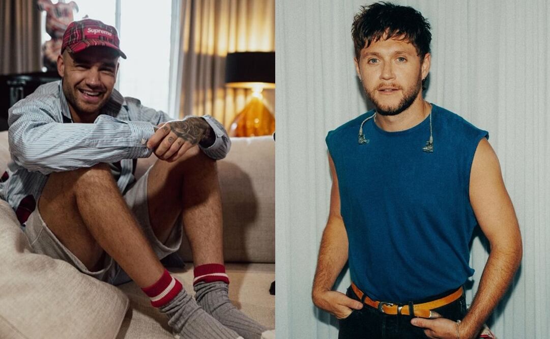 Liam Payne y Niall Horan. Foto: Instagram oficial.
