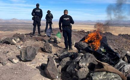 Destruyen 39 campamentos espías del narcotráfico en frontera Sonora-Arizona; no se reportan detenidos