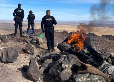 Destruyen 39 campamentos espías del narcotráfico en frontera Sonora-Arizona; no se reportan detenidos