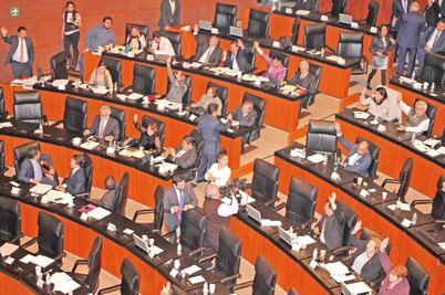 En 2016, Senado hará consulta sobre la yerba   