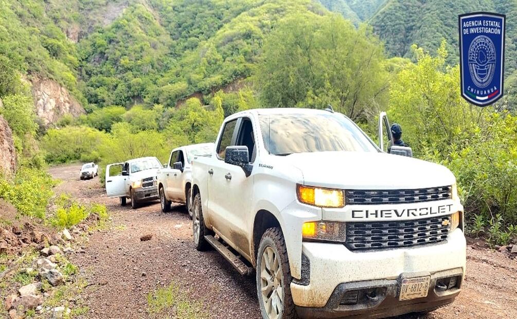 Encuentran fragmentos óseos en rastreo en Urique, Chihuahua. Foto: Especial