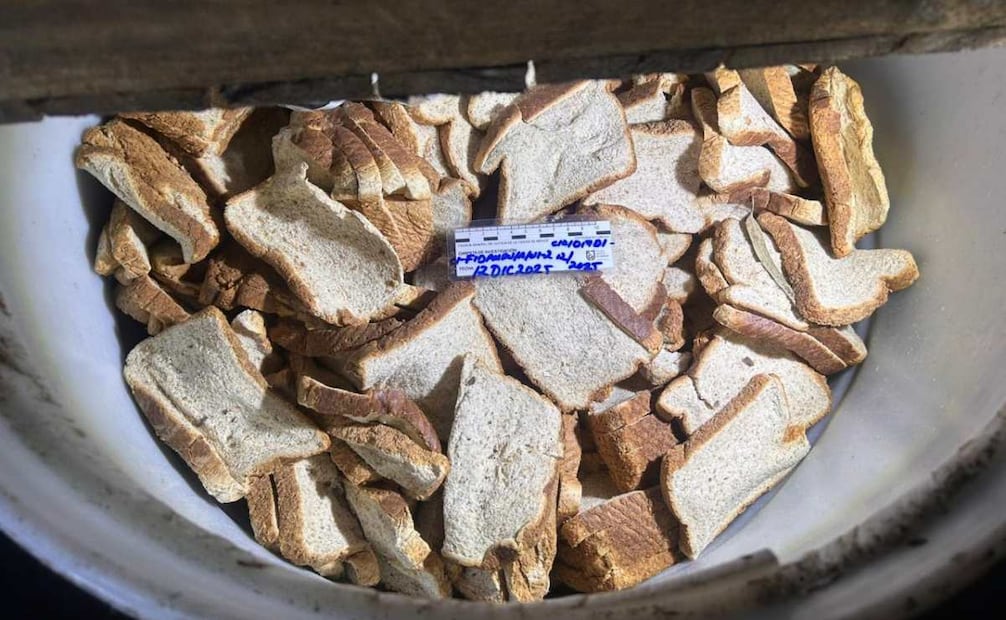 Alimento en mal estado hallado dentro del Refugio Franciscano (12/01/2026). Foto: Especial