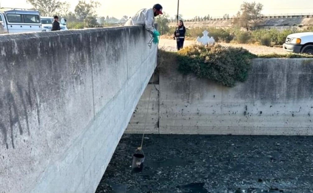 Conagua revisa canal de riego en Teoloyucan tras muerte de cinco personas (18/01/2026). Foto: Especial
