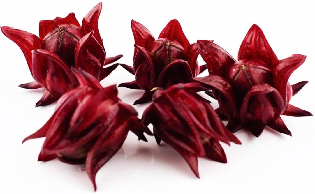 Hibiscus is widely consumed in Mexico – Photo: File Photo/EL UNIVERSAL