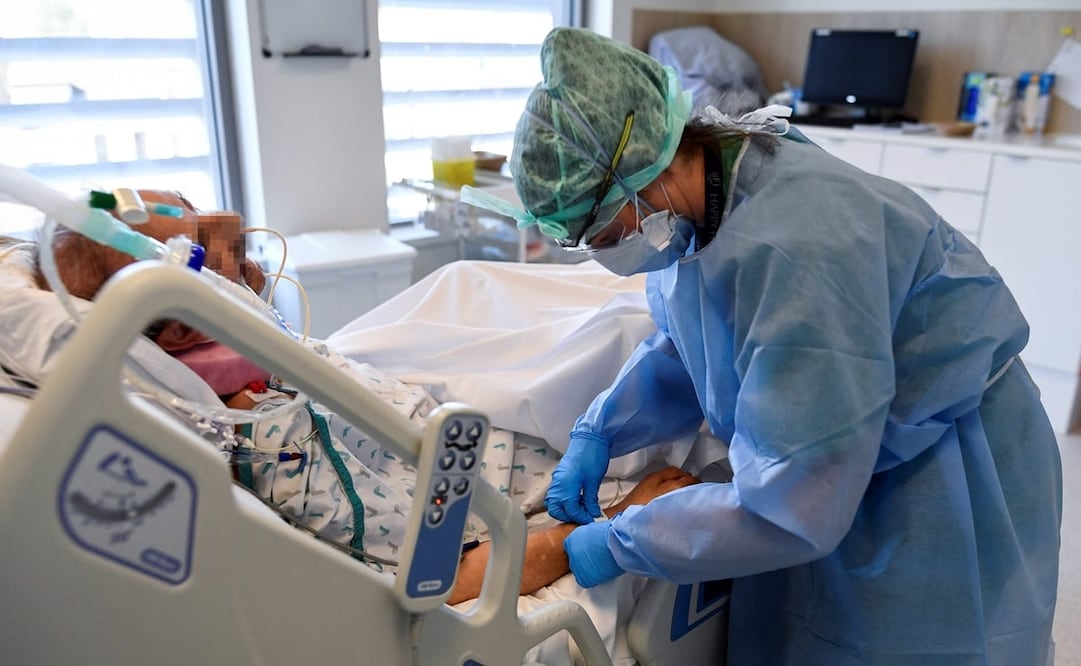 Foto: JOHN THYS / AFP, archivo