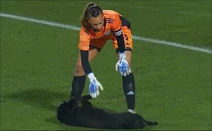VIDEO: Perro invade cancha de partido internacional para ser acariciado; no se quería salir
