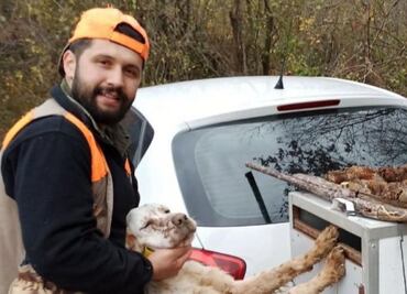 Perro mata a su dueño tras dispararle mientras estaban de cacería en Turquía