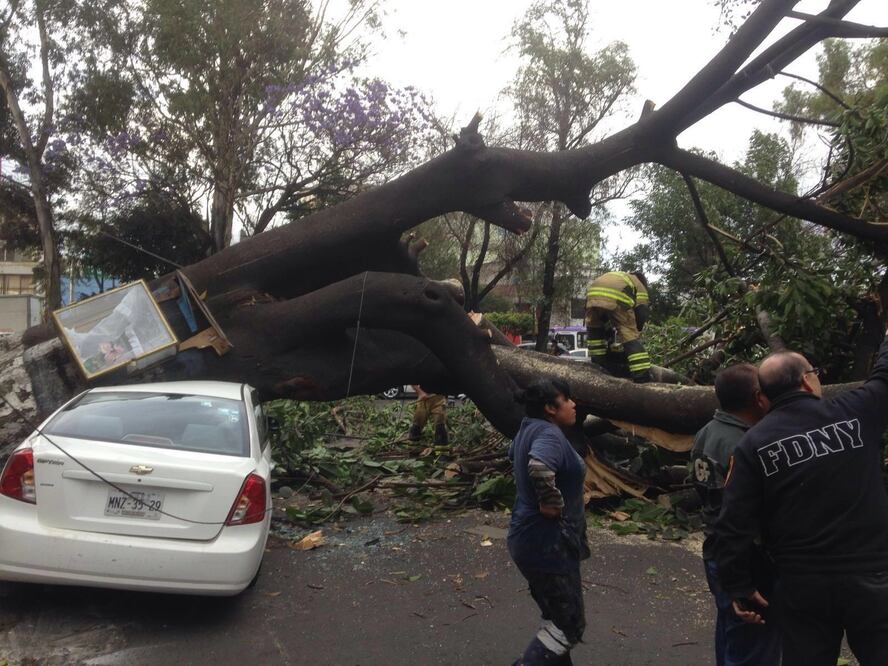 Foto: Fernando Ramírez / EL UNIVERSAL