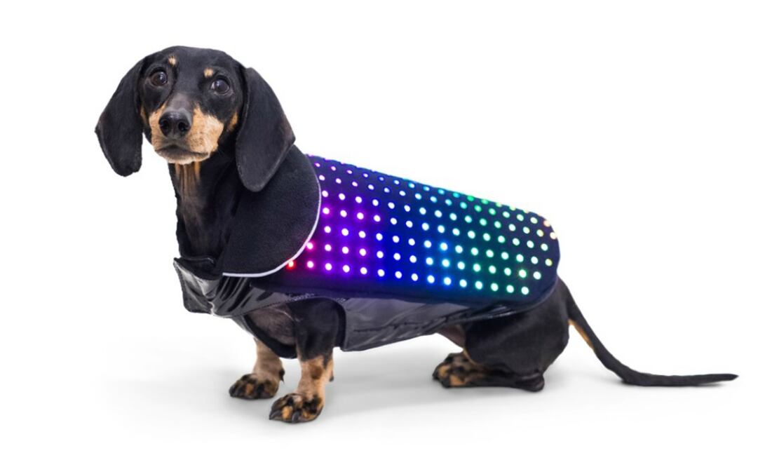 Cortesía Disco Dog
