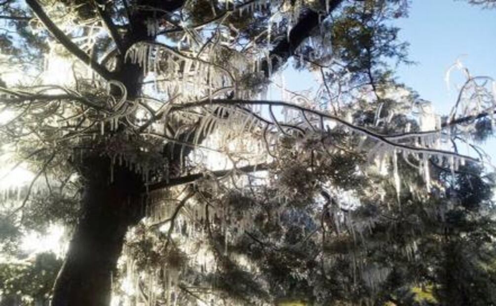 Alertan por entrada de Frente Frío 15 en Hidalgo