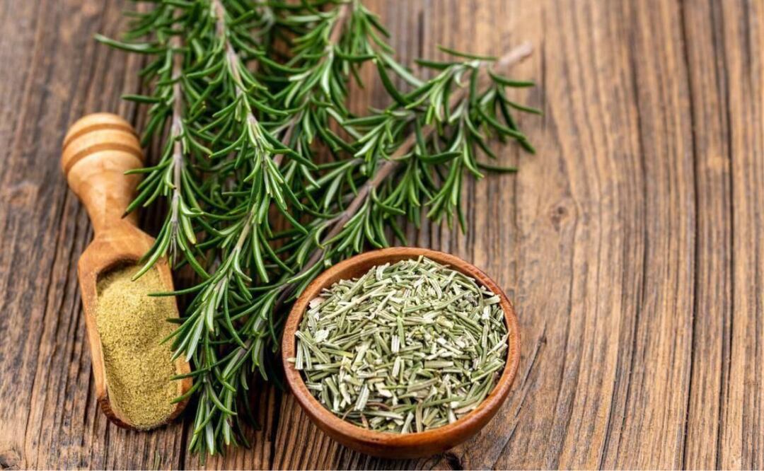 Conoce los beneficios de aplicar romero en el cabello. Fuente: Archivo / El Universal