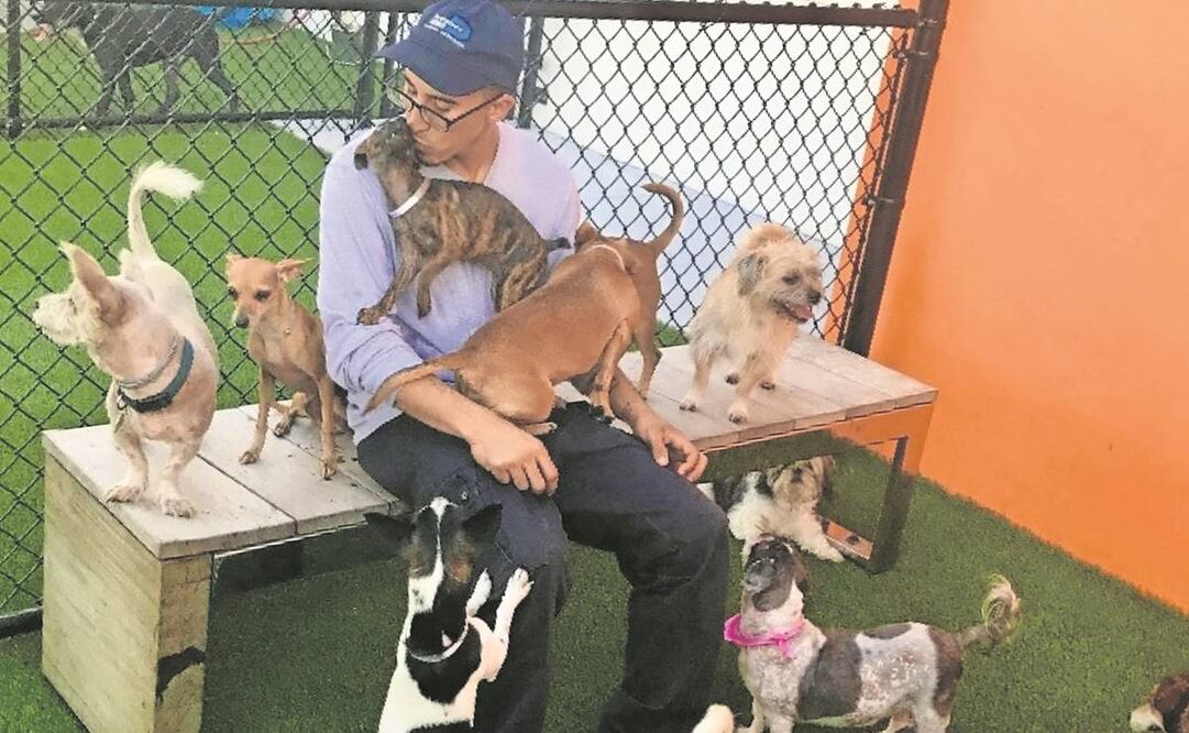 Adam Navarro, asesor del Centro de Protección y Adopción de Mascotas de Miami-Dade, convive con algunos de los chuchos que hay en el lugar. En octubre pasado, Navarro logró que se adoptaran 115 animalitos.